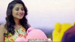 10 February Happy Teddy Bear Day Special WhatsApp status video download