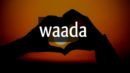 Waada promise day status promise day whatsapp status