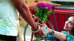 7 Feb Rose Day WhatsApp Status Video 2022 Valentines Special Happy Rose Day Status Download