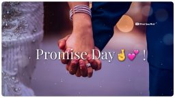 Promise Day Status Happy Promise Day status Valantine Day Status Download