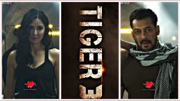 Tiger 3 movie Trailer Salman khan Katrina kaif 4k full screen status Tiger 3 whatsapp status Download