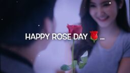 Happy Rose Day Status 7 February Status Rose Day 2023 Rose Day WhatsApp Status Love Status Download
