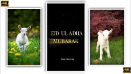 Qurbani status 2023 Eid ul adha Mubarak Bakrid status Jumma Mubarak status Islamic status Download
