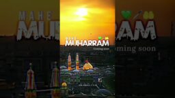 Muharram status 2023 new Coming soon muharram status 2023 Muharram qawwali status video Download