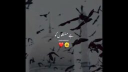 Islamic Nat WhatsApp status ❤️💫